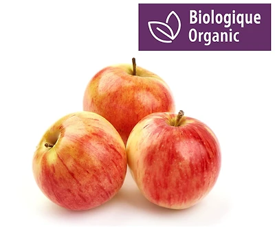 Pommes biologiques, Autumn Glory