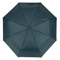 Automatic Mini Umbrella - Green, Stylish Umbrella
