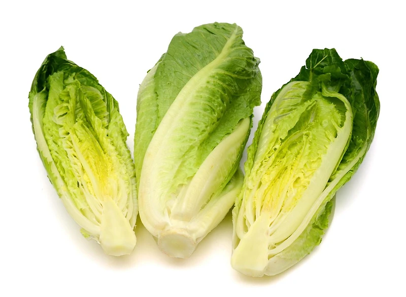 Romaine Hearts, 6 CT