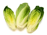 Romaine Hearts, 6 CT