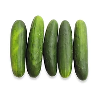 Field Cucumber, 1 EA