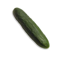 Field Cucumber, 1 EA