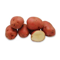 Red Potato