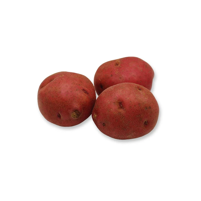 Red Potato