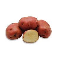 Red Potato