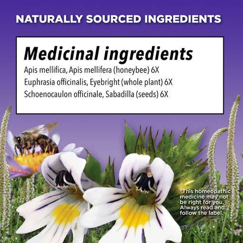 Similasan Soulagement des Yeux Irrités par l'Allergie Médicament Homéopathique 10 ml 10ml gouttes