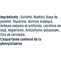 Gomme à mâcher Excel Menthe verte, sans sucre, format individuel, 12 morceaux 1 emballage, 12 morceaux