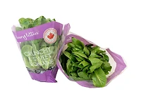 Inspired Greens Living Lettuce Crunchy & Sweet Romaine
