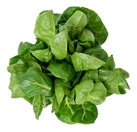 Inspired Greens Living Lettuce Crunchy & Sweet Romaine