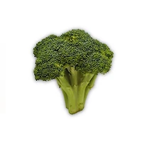 Broccoli Stalks, Sold in singles