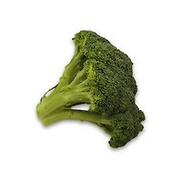 Broccoli Stalks, Sold in singles