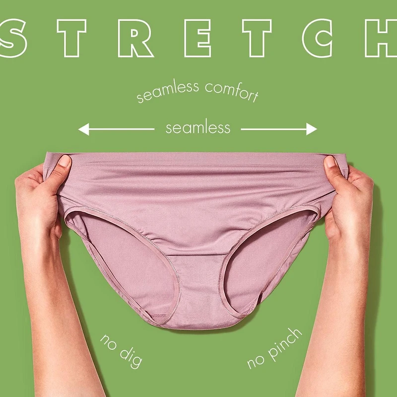 Fruit of the Loom 360 Stretch Seamless Low-Rise Brief Panty, 4-Pack