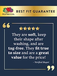 Fruit of the Loom 360 Stretch Seamless Low-Rise Brief Panty, 4-Pack