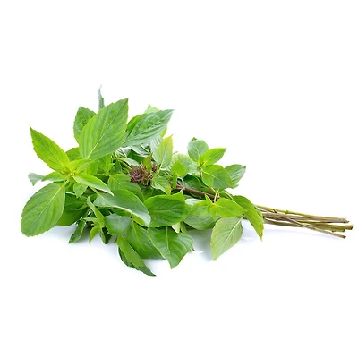 Basilic doux