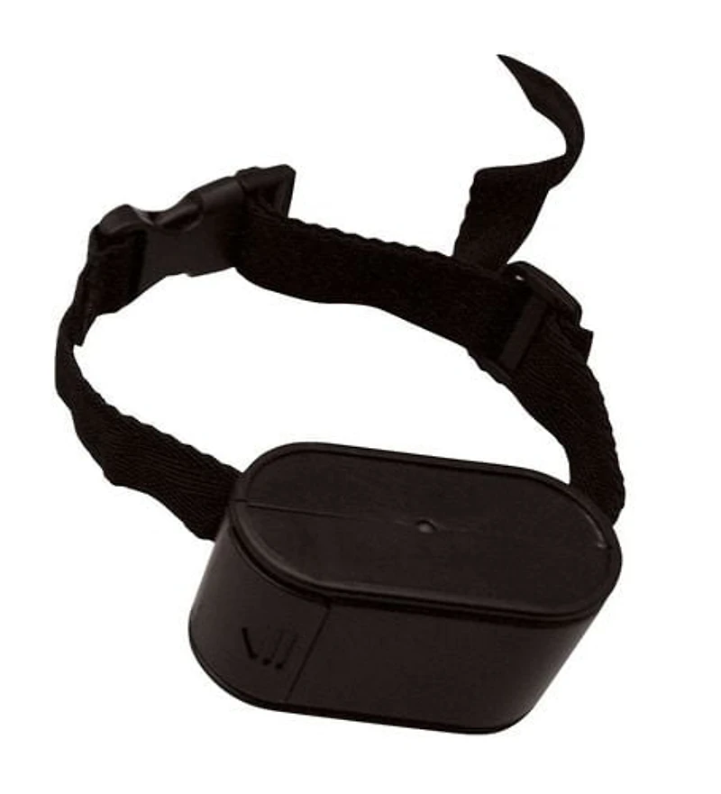 PetZoom Clôture Électrique Pour Chiens Système de Clôture Pour Animaux Souterraine