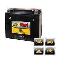 EverStart POWERSPORT ES20LBS, 12 Volt, Power Sports Battery, 270 CCA, Everstart, Power Sports Battery
