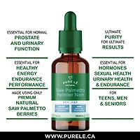Extrait de baies de palmier nain Pure-lē Natural