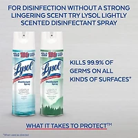 Lysol Disinfectant Spray, Spring Waterfall, Disinfect and Eliminate Odours on Hard Surfaces & Fabrics, 539 g