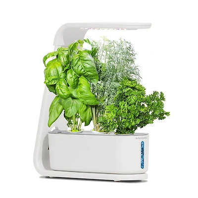AeroGarden Sprout blanc avec kit de capsules de semences Fines herbes