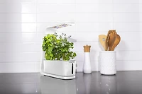 AeroGarden Sprout blanc avec kit de capsules de semences Fines herbes