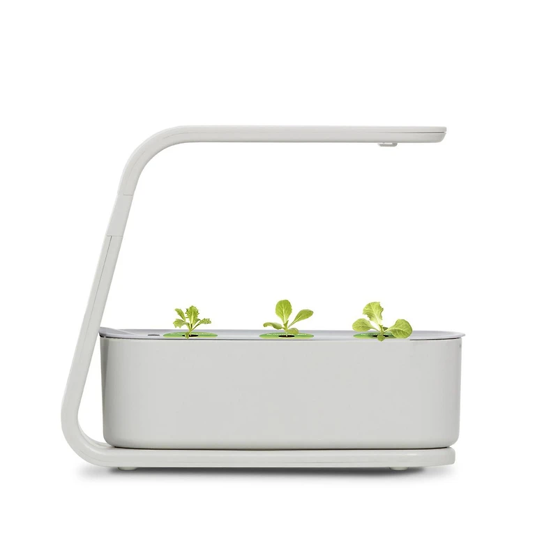 AeroGarden Sprout blanc avec kit de capsules de semences Fines herbes