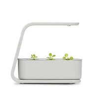 AeroGarden Sprout blanc avec kit de capsules de semences Fines herbes