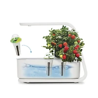 AeroGarden Sprout blanc avec kit de capsules de semences Fines herbes