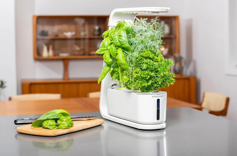 AeroGarden Sprout White with Gourmet Herb Seed Pod Kit