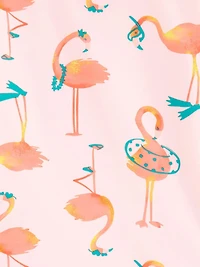 Carter's Child of Mine Toddler Girls' Pink Flamingo 2 Piece Rashguard