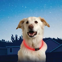 Nite Ize Collier de sécurité NiteHowl à DEL - Rouge
