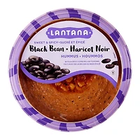 Lantana Black Bean Hummus