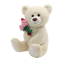 Way To Celebrate Valentine Sweet Teddy with Red Heart
