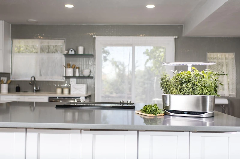 AeroGarden Bounty Elite Stainless with Gourmet Herb Seed Pod Kit