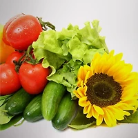 Kit de capsules de semences Faites pousser ce que vous voulez AeroGarden (6 capsules)