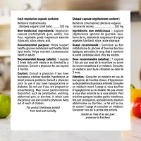 Webber Naturals Berberine 500 mg, 60 Vegetarian Capsules