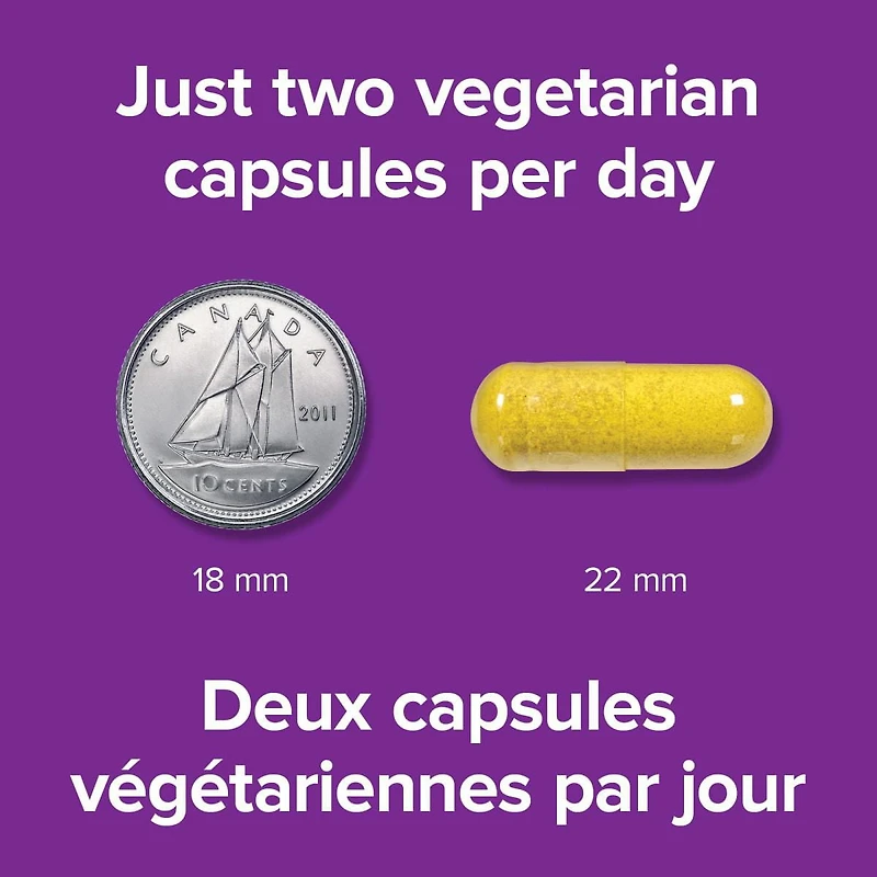 Berbérine 500 mg 60 capsules végétariennes