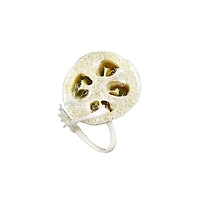 EQUATE BEAUTY Luffa Rond LUFFA