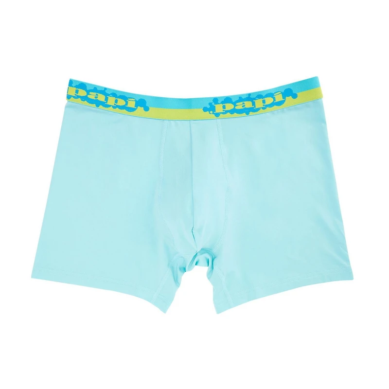PAPI Boxers En Macrofibre pour Hommes, Paquet de 4 PAPI Boxers En Macrofibre Assortie, Paquet de 4