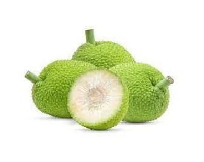 Breadfruit, Breadfruit