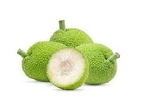 Breadfruit, Breadfruit