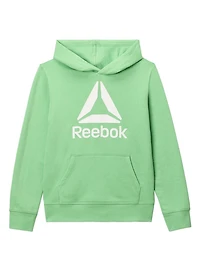 Reebok Boys Delta Fleece Hoodie