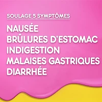 Pepto Bismol liquide pour soulager la nausée, les brûlures d’estomac, l’indigestion, les malaises gastriques et la diarrhée, saveur originale 480 ml