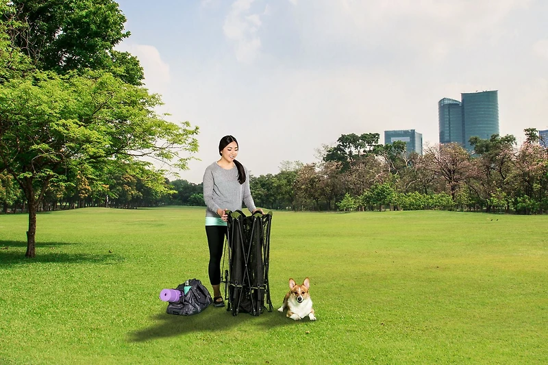 Parc pliant portatif Carlson Pet Products pour chiens à 8 panneaux en vert