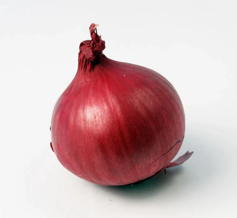 Oignons rouges biologiques Mon marché fraîcheur KHBV53