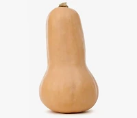 Courge Butternut biologique, Vendu individuellement, 0.76 - 1.40 KG