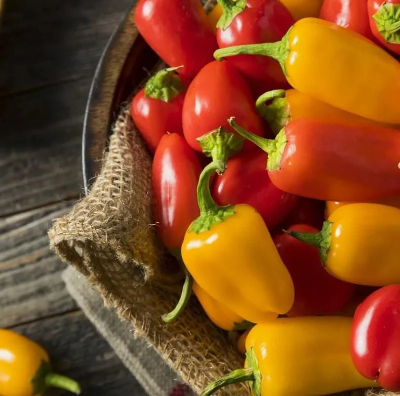 Mini Poivrons biologiques Sac d'1 lb