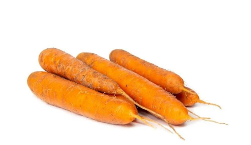 Carottes Nantaise Carottes