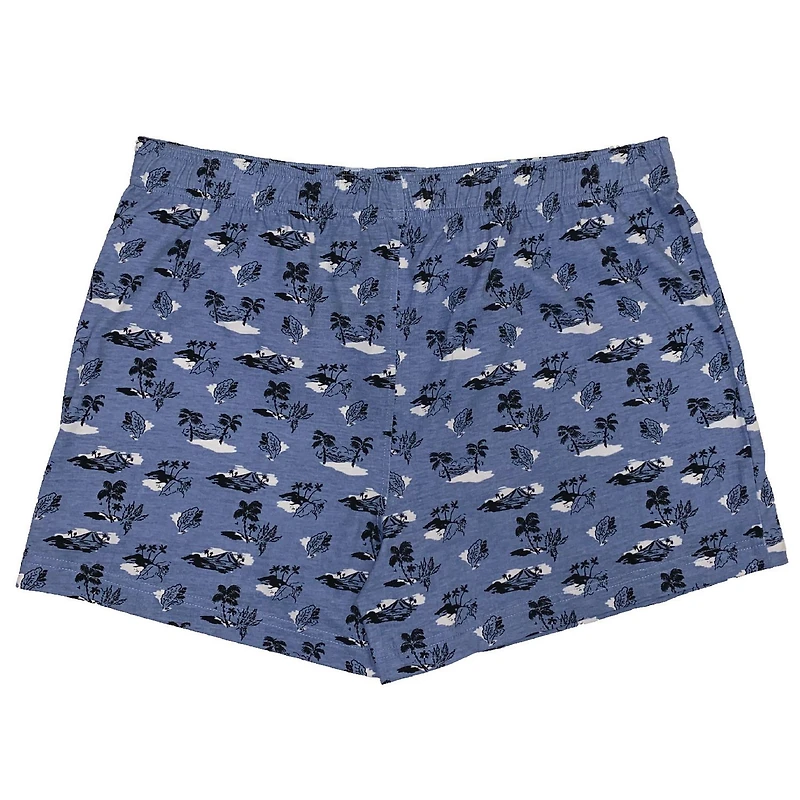 Men's Under Disguise 2pk boxers