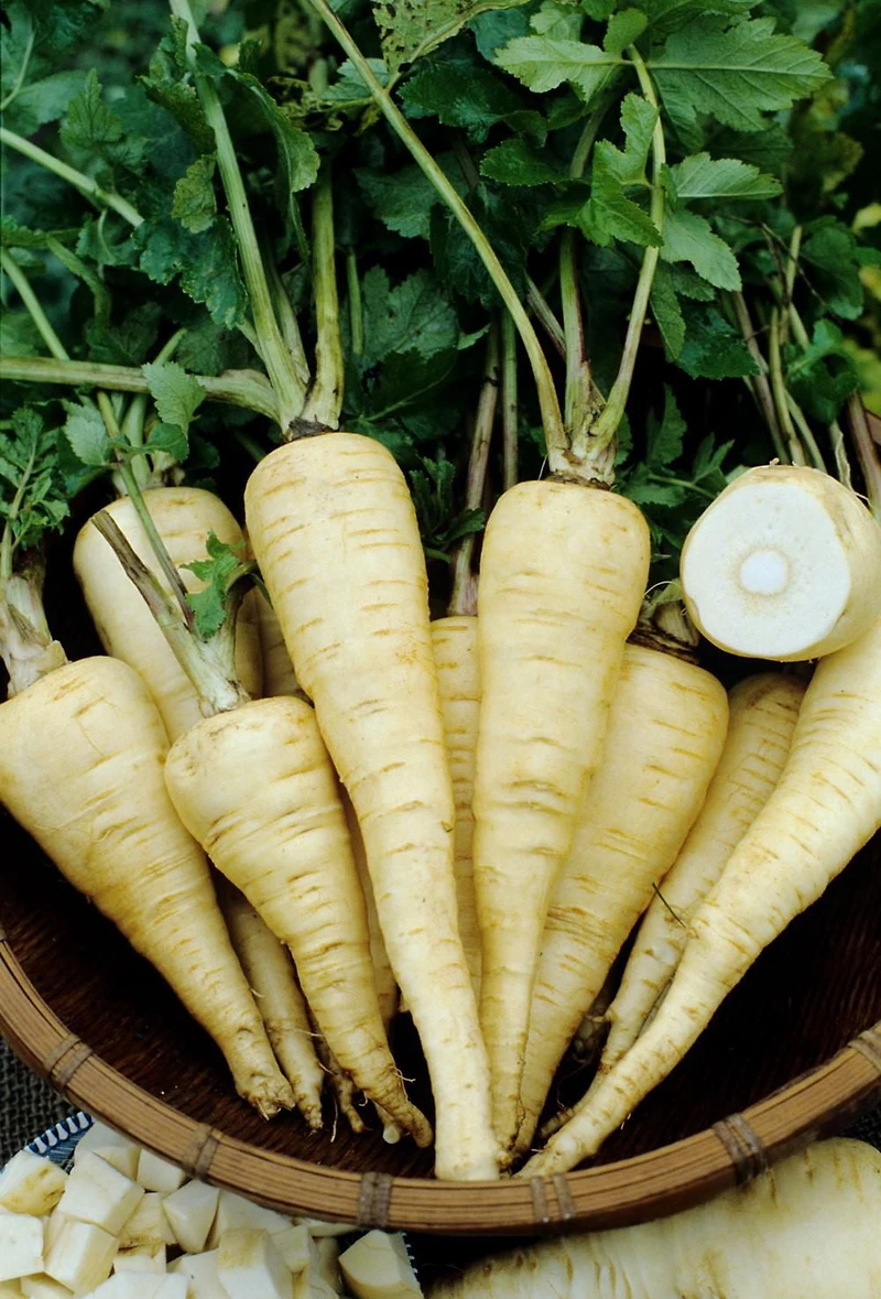 Parsnip, Sold in singles, 0.02 - 0.14 KG