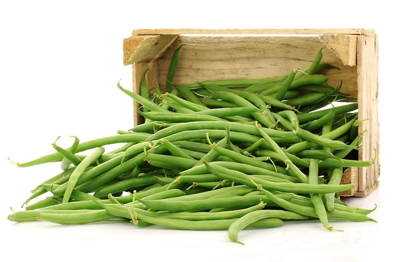 Haricots verts, 24 oz, 0.67 - 0.68 KG
